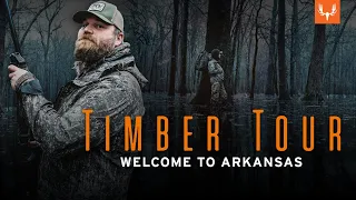 Timber Tour | Welcome to Arkansas