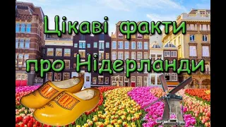 Цікаві факти про Нідерланди. Країна тюльпанів та вітряків.