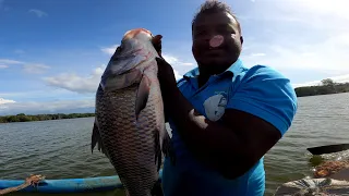 Mr Wasantha Live Fishing 🇱🇰 | Sri Lankan Traditional Net Fishing | Island  Fishing | Fishing Video