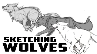 Sketch with Me: Sketching a Wolf Running