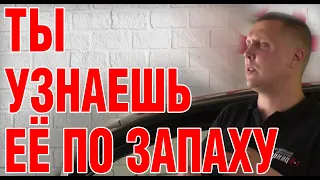 Как узнать, что автомобиль не утопленник. Куда смотреть, как проверить?