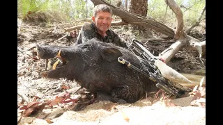 bowhunting cape york boars part one