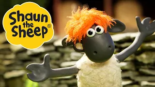 Hair Today Gone Tomorrow | Shaun the Sheep | S2 Full Episodes