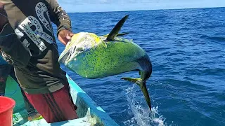 HOW TO CATCH A MAHI MAHI FISH FOR LONGLINE FISHING IN INDIAN OCEAN SEA AMAZING FISHING VIDEO PORT 2