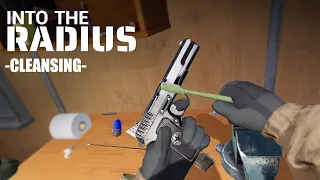 [Into The Radius] Cleaning