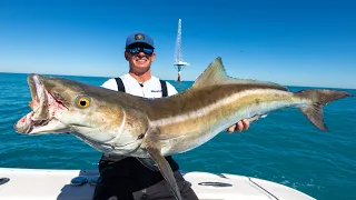 ABANDONED Millitary Towers LOADED with Fish! Catch Clean Cook- Cobia