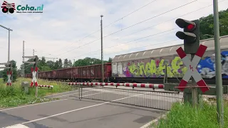 Spoorwegovergang Emsbüren (D) 😍4K😍 // German railroad crossing