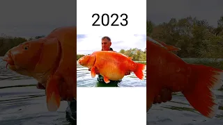 2023 Golden Fish and 5000  😱||mythical Biology|#shortsvideo