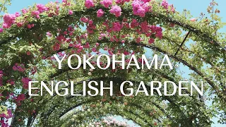 横浜イングリッシュガーデン2023年5月3日  [4K] Yokohama English Garden #englishgarden  #rose #flowers #garden  #バラ