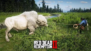 GANHEI DE PRESENTE DOS ÍNDIOS um BISÃO BRANCO - Red Dead Redemption 2