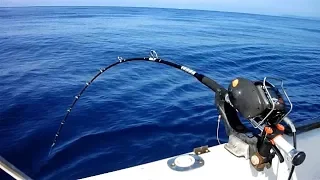 Take a private boat and do deep sea fishing