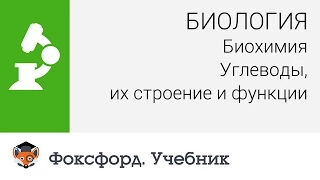 Биология. Биохимия: Углеводы, их строение и функции. Центр онлайн-обучения «Фоксфорд»