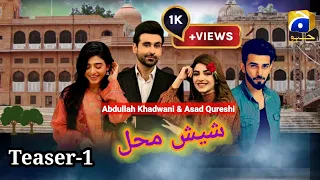 Sehar Khan upcoming drama | Ali Ansari | Showbiz pedia