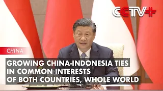 Growing China-Indonesia Ties in Common Interests of Both Countries, Whole World: Xi