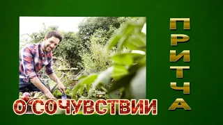 Сочувствие | Притча | Духовная | Познавательная Притча