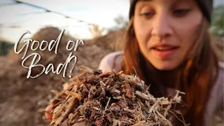 How to Use Woodchips on Your Homestead | Desert Garden