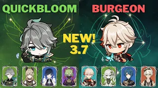 C0 Quickbloom Alhaitham & C0 Burgeon Kazuha - 3.7 NEW Spiral Abyss Floor 12