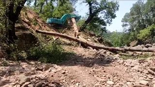 How to remove tree with excavator and bucket-pull method || Painful big tree removal with excavator