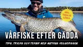 Vårfiske efter gädda med Mathias Holgersson. Tips, tricks och tekniker.