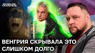 ВЫГОДА или политический ИДИОТИЗМ? Почему Орбан так "любит" ПУТИНА