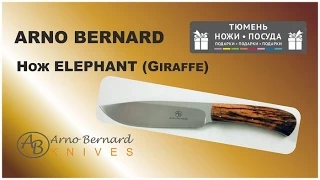 Нож Arno Bernard Elephant Giraffe Bone