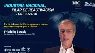 Friedolin Strack, director de BDI en la Semana de la Industria 2020