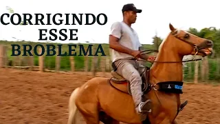 COMO CORRIGIR CAVALO QUE LEVANTA A CABEÇA  NA HORA DA PARADA.