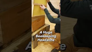 Beekeeping headache solved! #beehive #beekeeping #bees #beebarn #beekeeper #honeybees #vinofarm