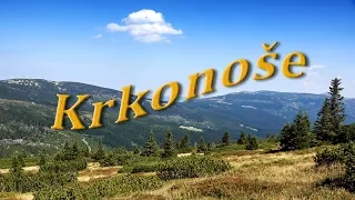 Západní Krkonoše. Léto.