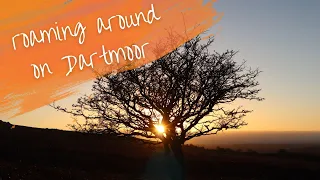 Exploring Dartmoor National Park | Solo van life