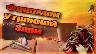 Ночной Сахар, Феномен Утренней Зари