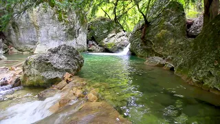 Clear Water Mountain Stream, Nature Sounds. Small Waterfall Flowing, White Noise for Relaxing Sleep.