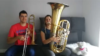 AronChupa, Little Sis Nora - Llama In My Living Room - Double Brass (Trombone & Tuba Cover)