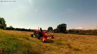 Massey ferguson 165 Turning hay 2021