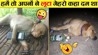 जानवरों के ऐसे कारनामे जिन्हें देखकर कर 😂😜.....Funny Animals Video 2022(Part-10)