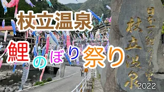 杖立温泉鯉のぼり祭り！約3500匹の圧巻の鯉のぼり達