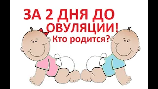 ❤️Контакт (ПА) за 2 дня до 💥овуляции. Кто родится👦👧? (Для зачатия!)