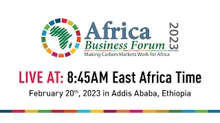 Africa Business Forum 2023. Making Carbon Markets Work for African.