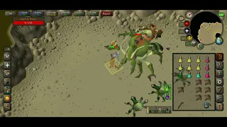 Kalphite Queen on mobile ( osrs )