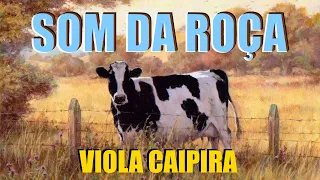 O Som Da Roça + De 01 HORA DE MODÃO DE VIOLA -  Viola Caipira/Sertanejo Raiz