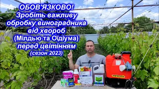 Обов'язкова обробка винограду перед цвітінням! 2023