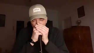 G harmonica,  looper practice