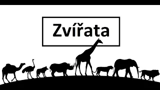 Learn Czech vocabulary : Animals - Zvířata