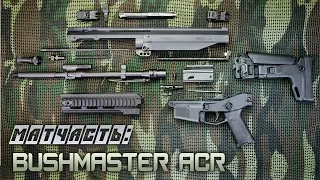 Матчасть Bushmaster ACR: разборка, чистка, конструкция