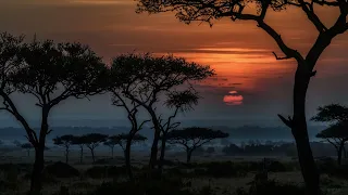 Wonderfull Chill Out Music (Africa Asia Oriental Theme Mix)