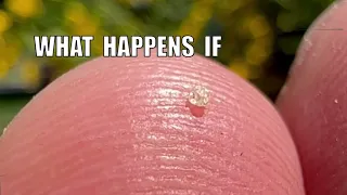 What happens if a grain of sand hits the Earth at the speed of light. One theory anyway.