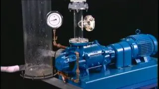 NASH Liquid Ring Vacuum Pump Reliability