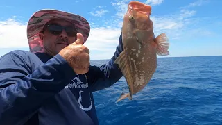 Red Snapper & Red Grouper Fishing