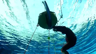 Dive line pull rescue - Pulling System | Freediving Skills