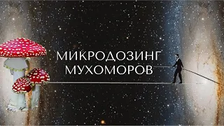 Микродозинг мухоморов. Польза или вред? Для чего и как безопасно принимать? Ченнелинг о мухоморах